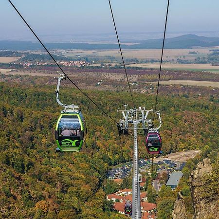 Grosse Wanderer Unterkunft Am Hexentanzplatz U Thale Zewnętrze zdjęcie